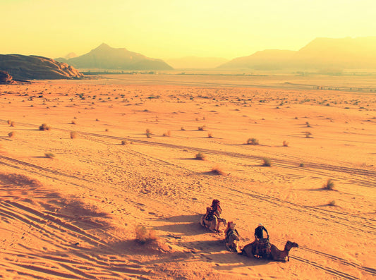 Golden Savanna